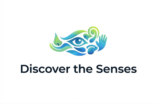 Discover the Senses Box – A Complete Sensory Experience for All Ages